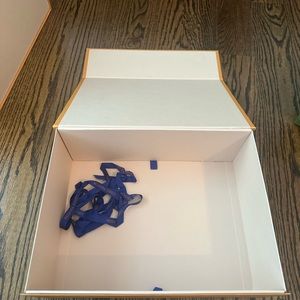 Louis Vuitton big purse box